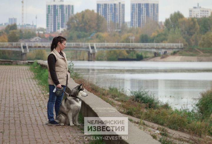 В Татарстане ожидаются небольшие дожди и похолодание