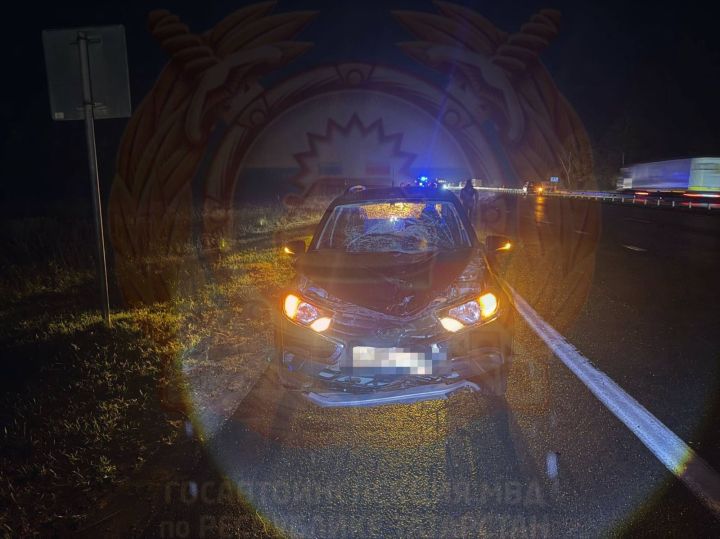 В Татарстане пешеход погиб под колесами легковушки