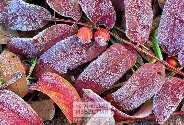 Ветрено и дождливо: в Татарстане температура упадет до нуля