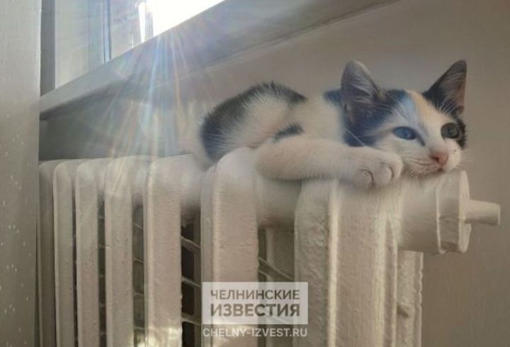 УК просят челнинцев присматривать за батареями при подаче тепла