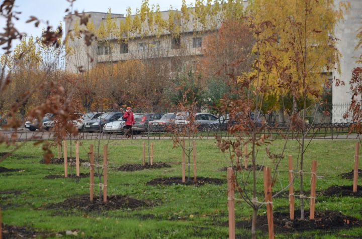 Календарь огородника: под зиму деревьям требуется от 40 до 70 литров воды