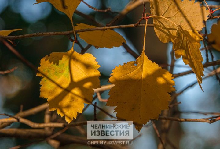 В Татарстан идет старое бабье лето