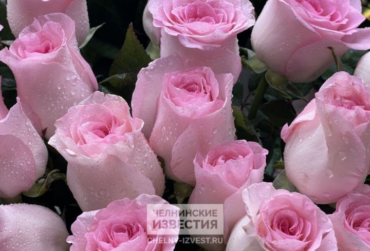 Подарок-ловушка: как мошенники выманивают деньги у именинников