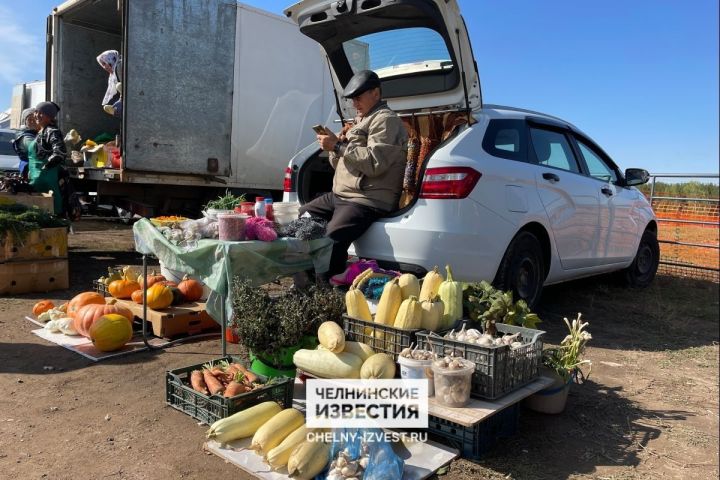 В Челнах с 13 сентября стартуют сельхозярмарки