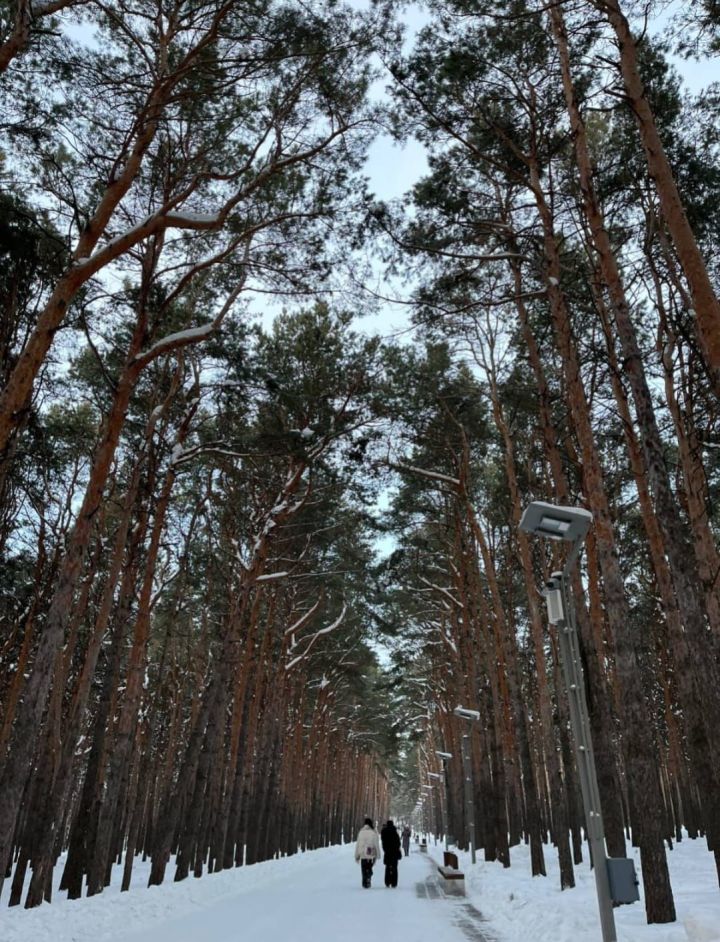 В Челнах завтра обещают солнце и мороз