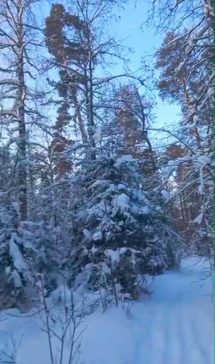 Циклон «Фрэнсис» в Татарстане сменят 20-ти градусные морозы