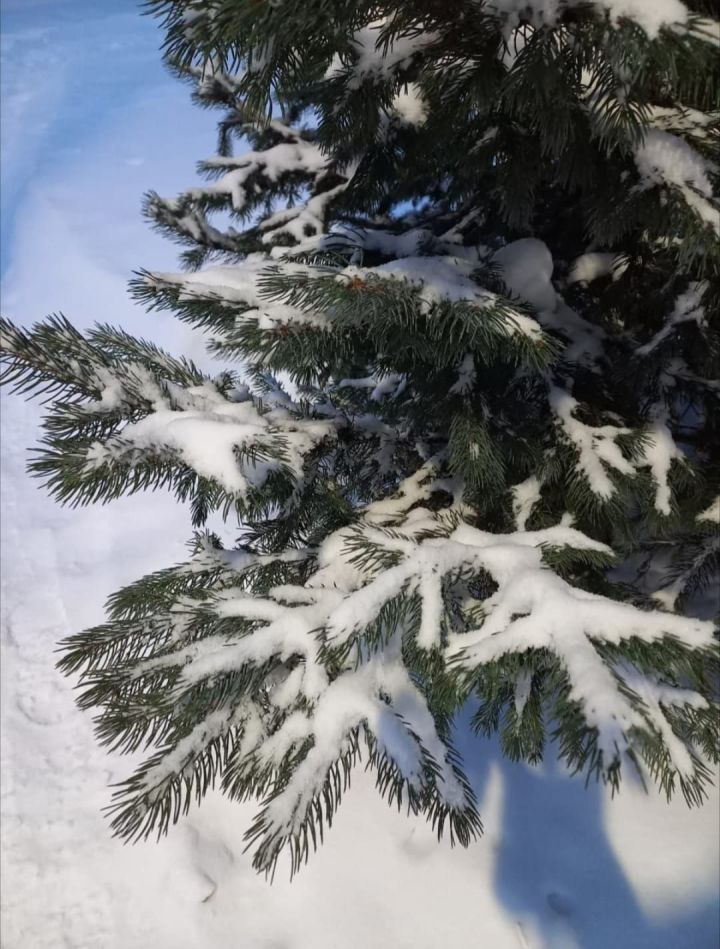 В ночь на воскресенье в Татарстане ожидаются морозы до -27 градусов