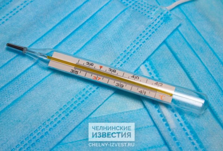 Всадники апокалипсиса: в Татарстане растет заболеваемость по 13 инфекциям