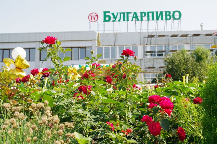 В Челнах за 283 миллиона рублей продают завод «Булгарпиво»