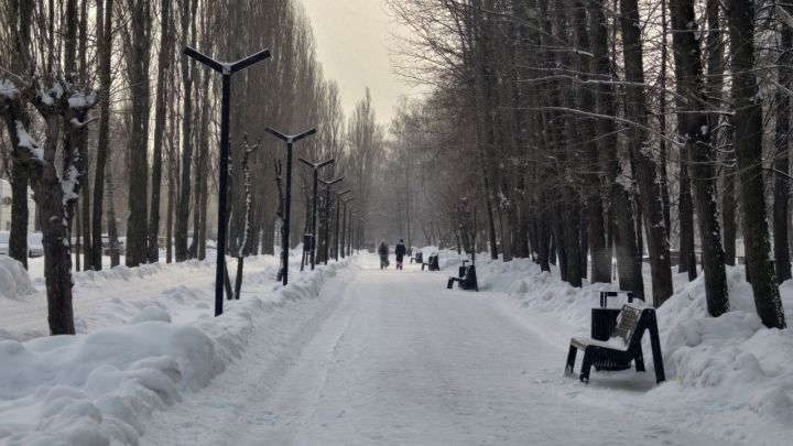 Профессор КФУ рассказал, как долго в Татарстане продержатся сибирские морозы