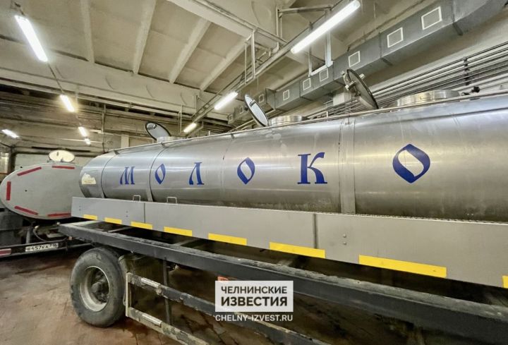 Закупочные цены на молоко в Татарстане упали на 20% из-за переполненных складов