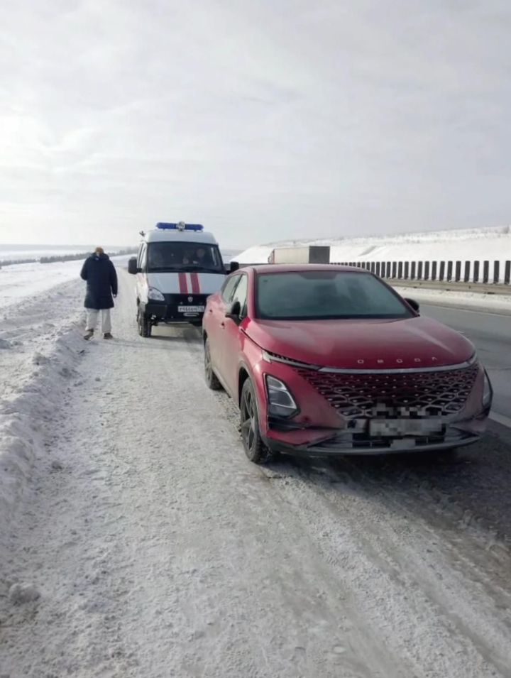 В Татарстане спасатели напоили горячим чаем замерзших супругов
