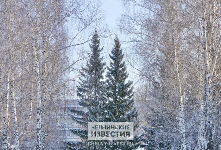 Морозы в Татарстане сменятся сильными метелями