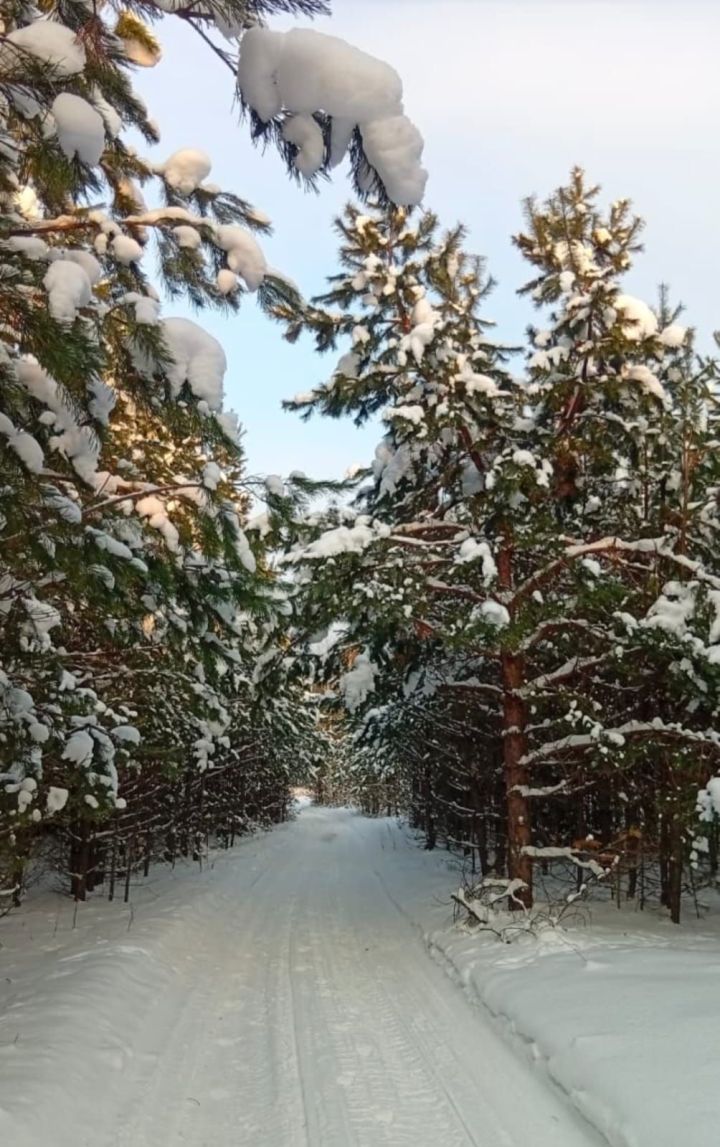 В Челнах завтра обещают пасмурную и снежную погоду