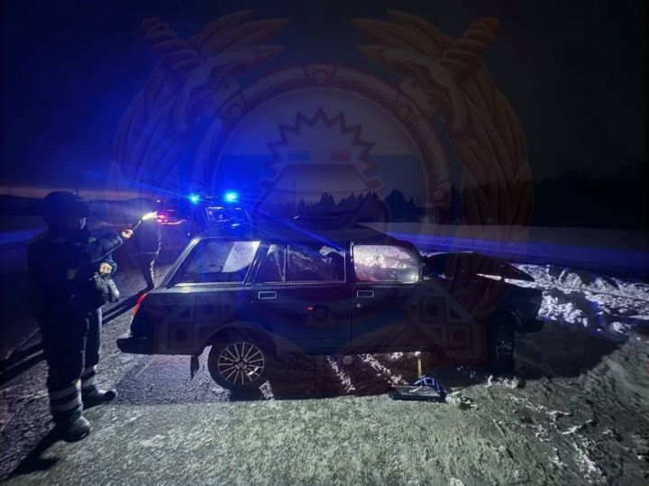 В Татарстане 60-летний водитель погиб, сбив на дороге теленка