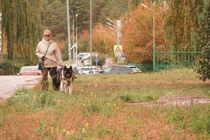 Солнечный и теплый день обещают в пятницу