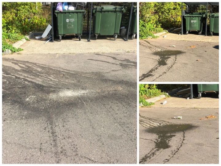 В Челнах экологический двор страдает от стоков мусоровозов