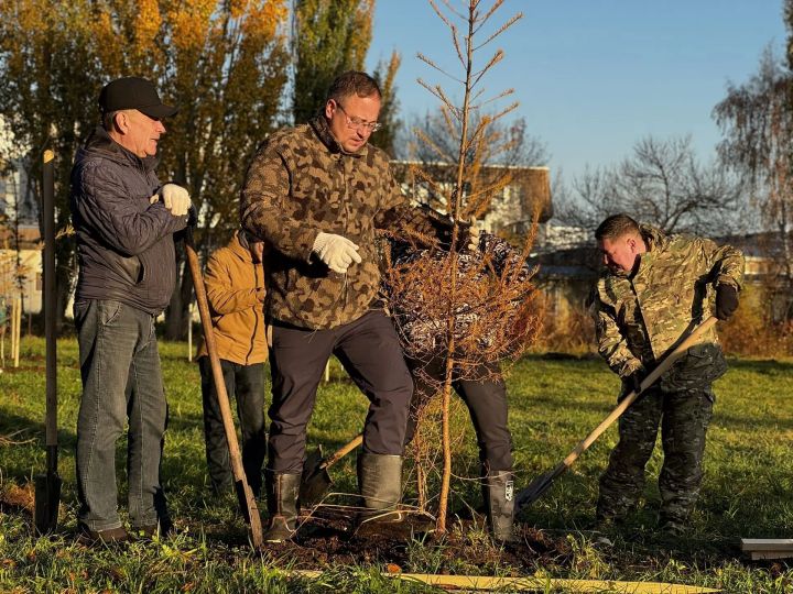 250 деревьев высадили в Челнах в день субботника