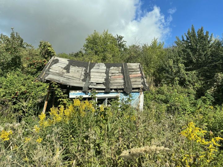 В Татарстане насчитали 35 тысяч гектаров заброшенных сельхозземель