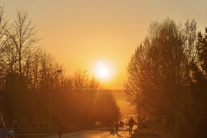 В пятницу обещают солнечный день