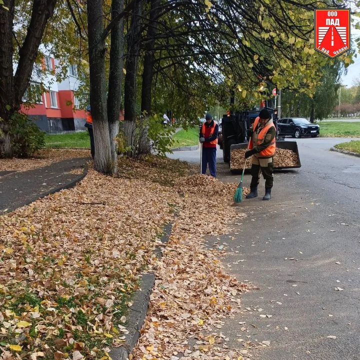 Дорожники Челнов объяснили, зачем убирают листву, если она все равно опадет