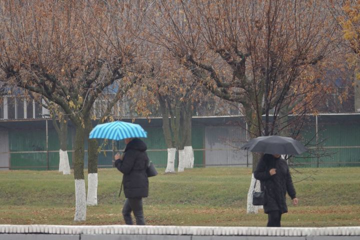 Жителям Набережных Челнов синоптики обещают дождь завтра