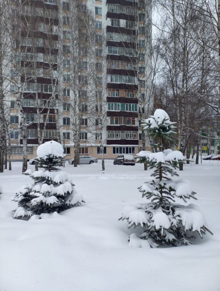 Рабочая неделя в Татарстане начнется с метели и похолодания