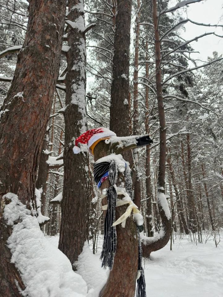 Опять метель: в Челнах в понедельник ожидается мощный снегопад