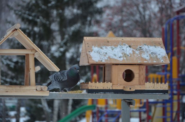 В Челнах завтра обещают до -12 градусов