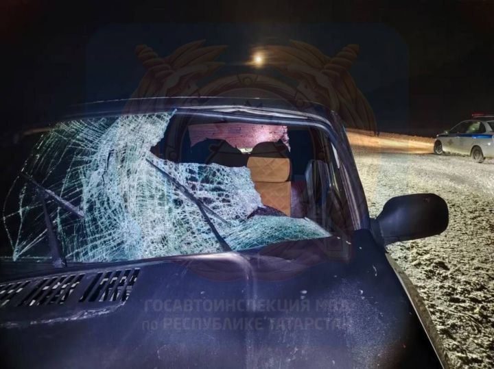 В Татарстане 18-летний пешеход погиб под колесами легковушки