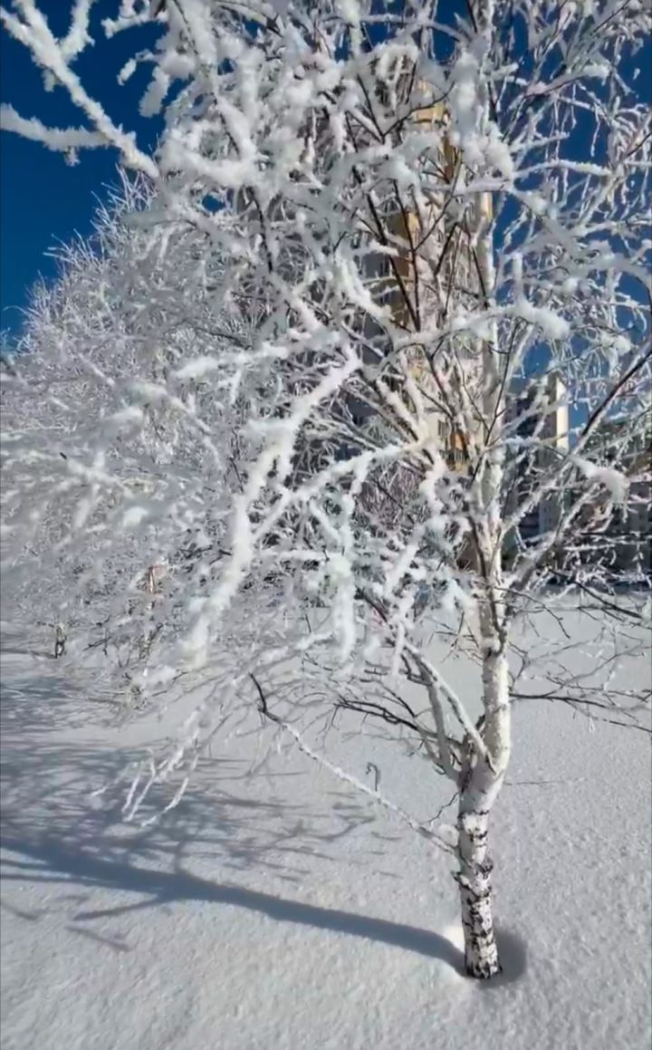 В Челнах завтра обещают до -7
