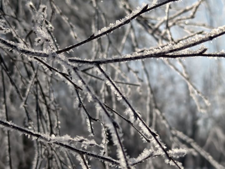 Весной не пахнет: конец февраля в Татарстане будет морозным