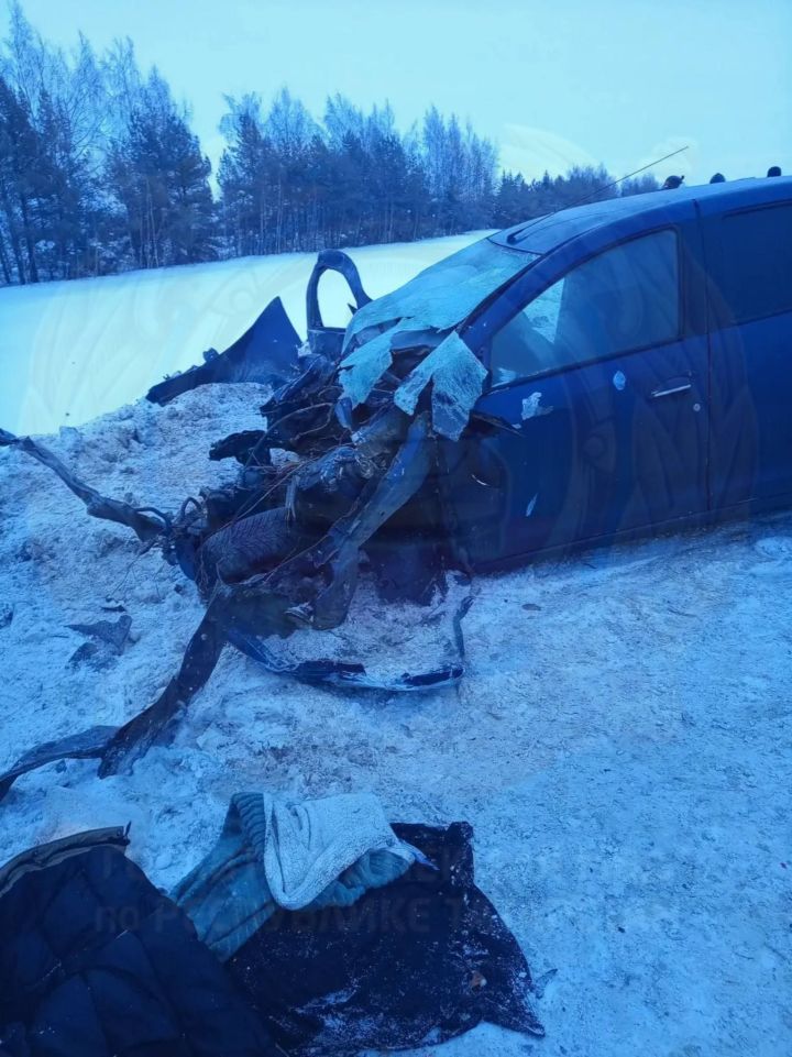 Жесткая авария в Татарстане унесла жизнь 19-летней пассажирки иномарки