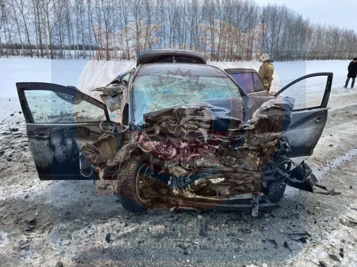 Два «Ниссана» – две жертвы: в Татарстане на встречке произошло смертельное ДТП
