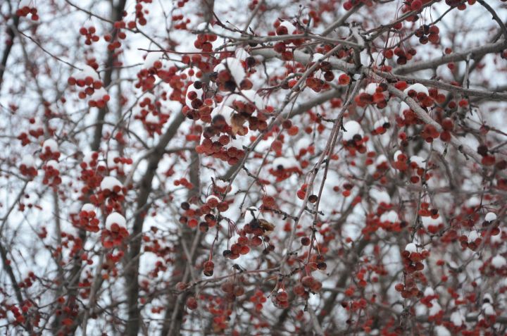 В Челнах завтра обещают легкий минус