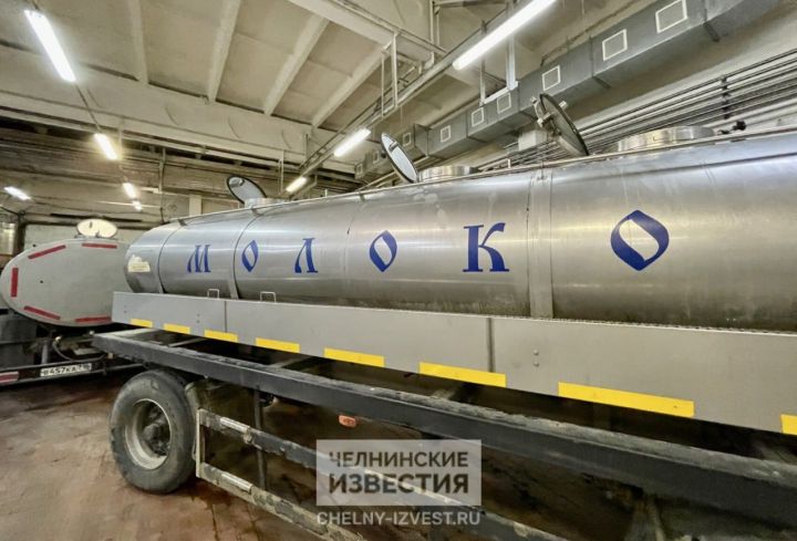 Свои не берут: молочку из Татарстана будут экспортировать в Азию и на Ближний Восток