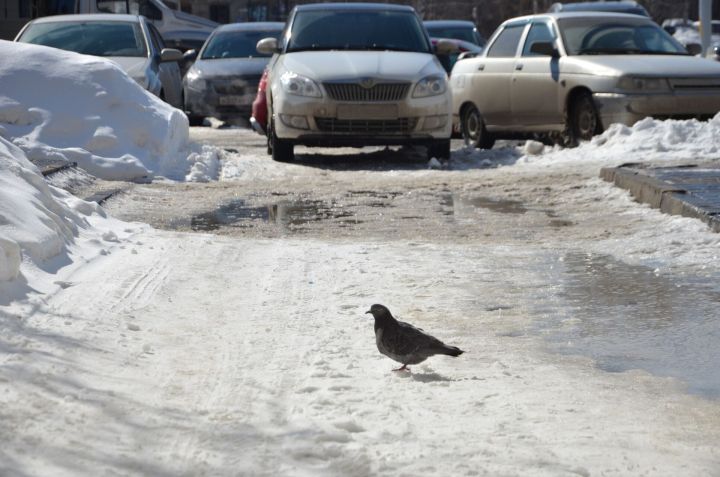В Челнах завтра потеплеет до +7 градусов