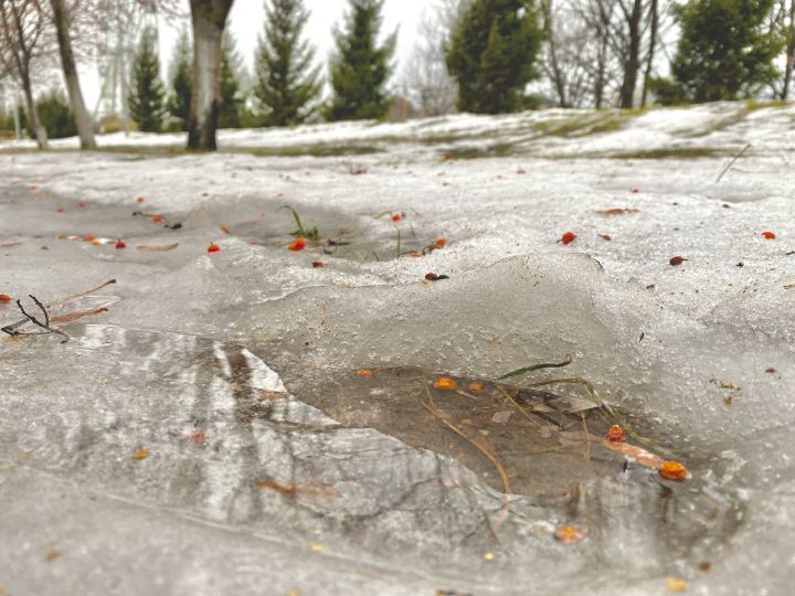 В Челнах завтра обещают солнечный день и до +8 градусов