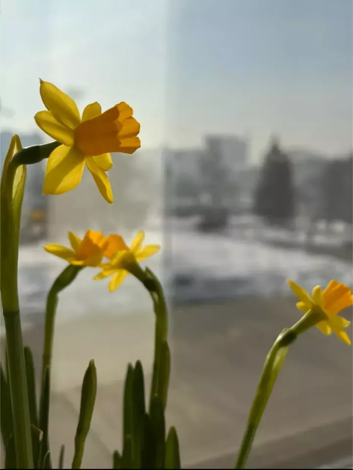 В воскресенье в Татарстане воздух прогреется до +9