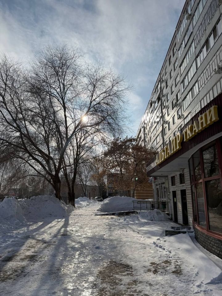 Солнечный понедельник обещают синоптики челнинцам