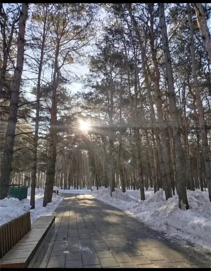 В начале недели местами в Татарстане воздух прогреется до +12 градусов