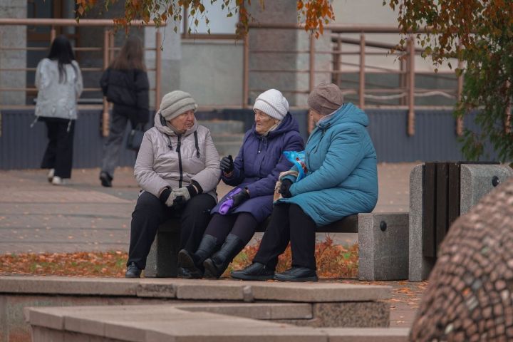 В МВД рассказали, как мошенники работают через стационарные телефоны