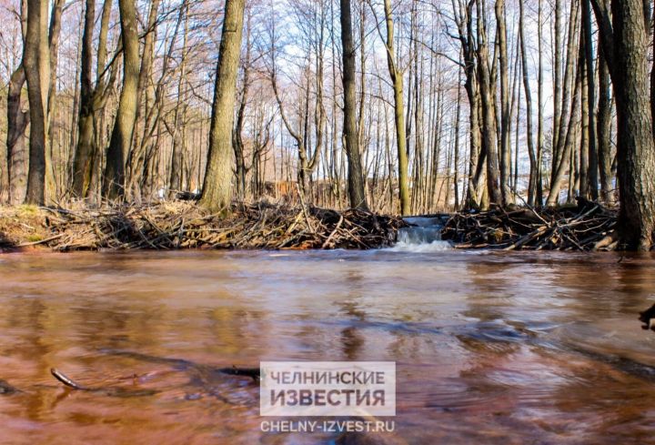 В Челнах сохранится теплая погода