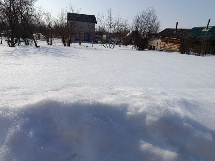 Дачники в Челнах уже сажают лук на зелень, несмотря на сугробы