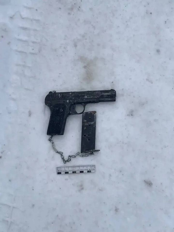 В Елабужском районе у жителя Нижнекамска изъяли пистолет ТТ и боеприпасы