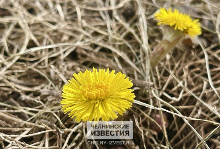 Татарстанцам обещают тёплую, но пасмурную погоду