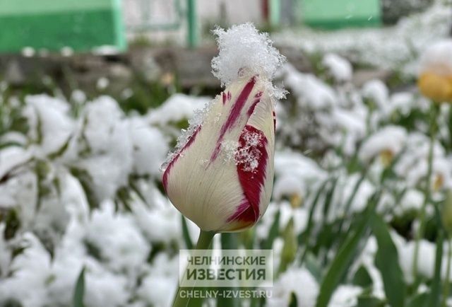 В Челнах обещают потепление