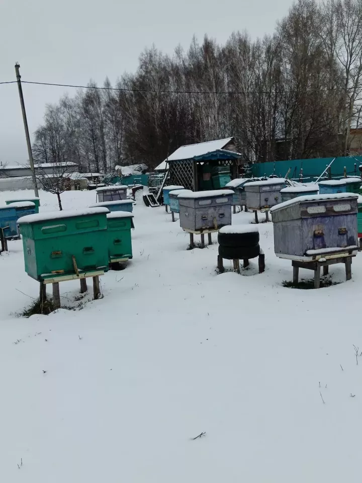 Пасечник Сахапов: апрельский снег для пчел не опасен и не катастрофа
