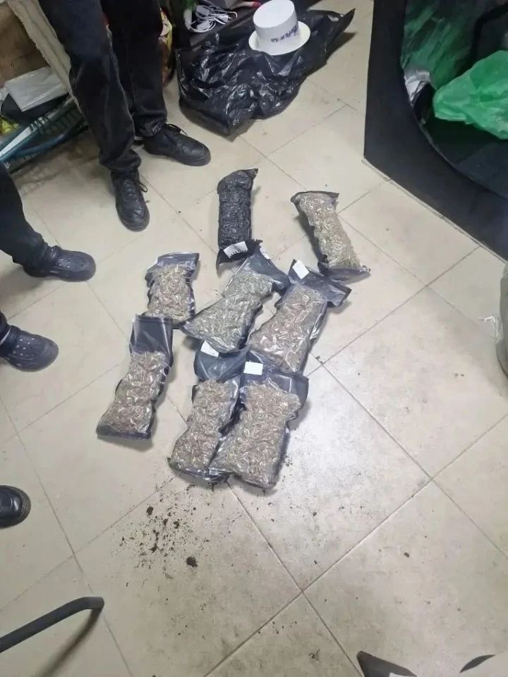 Крупный улов: в Татарстане наркополицейские изъяли более 4 кг наркотиков