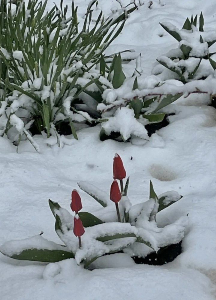 В Татарстане в ближайшие дни ожидаются дожди и до +17 градусов